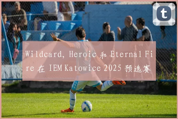 Wildcard, Heroic 和 Eternal Fire 在 IEM Katowice 2025 预选赛开始时取得胜利