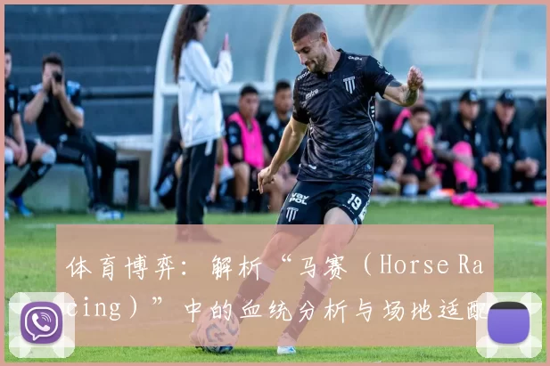 体育博弈：解析“马赛（Horse Racing）”中的血统分析与场地适配逻辑。（从体育博弈看赛马：血统解读与场地适配逻辑）
