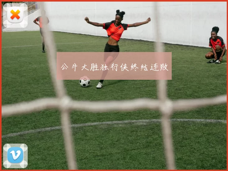 公牛大胜独行侠终结连败