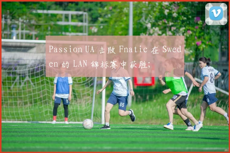 Passion UA 击败 Fnatic 在 Sweden 的 LAN 锦标赛中获胜;