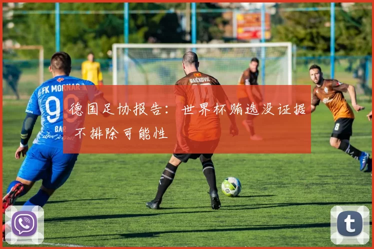 德国足协报告：世界杯贿选没证据 不排除可能性